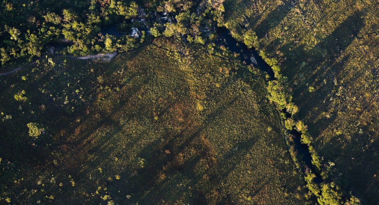 Financiamentos de projetos rurais sustentáveis terão juros mais baixos