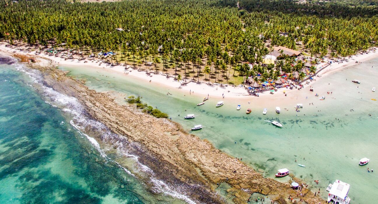Barulho de barco e de turistas afeta comunicação de peixes, diz estudo