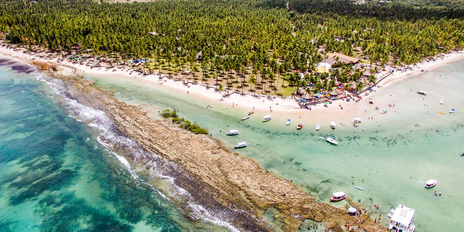Barulho de barco e de turistas afeta comunicação de peixes, diz estudo