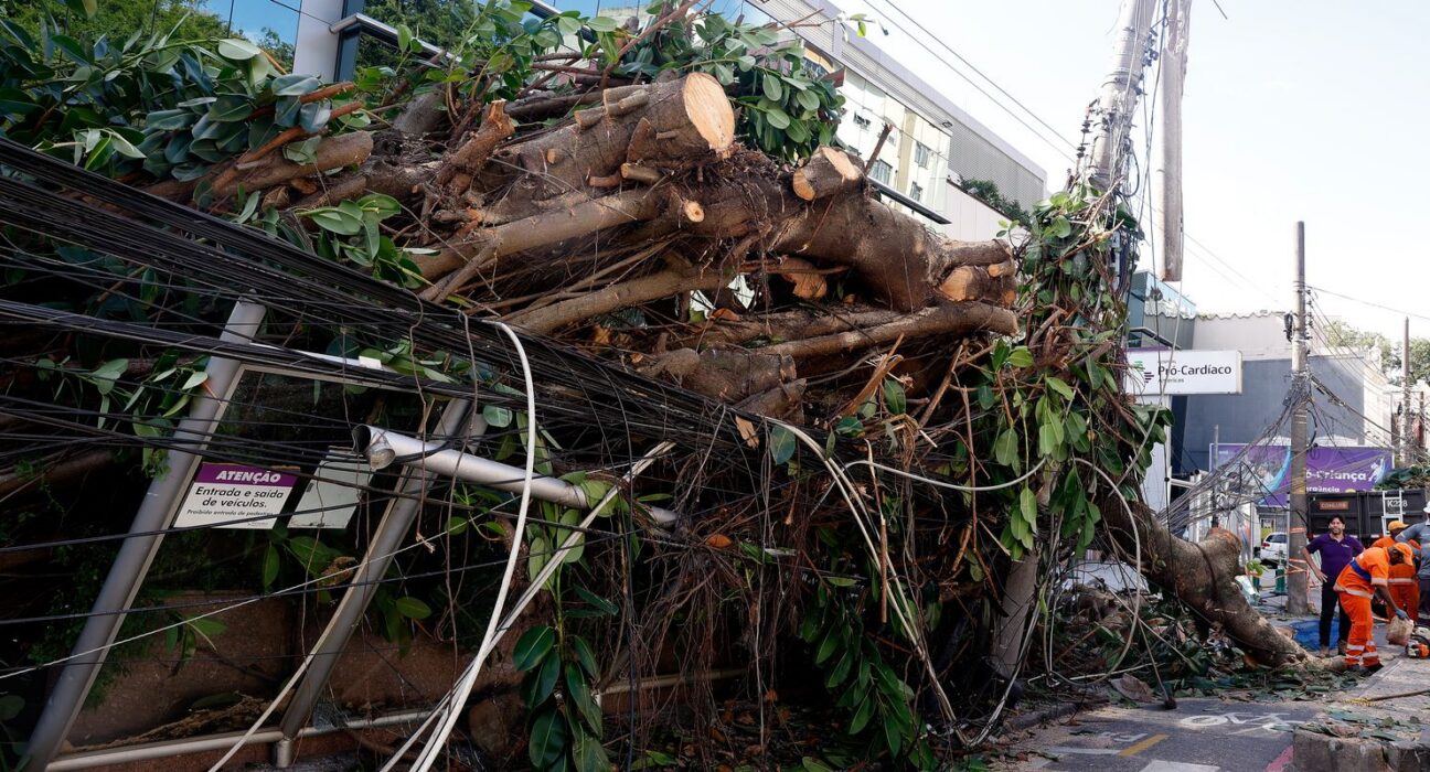 Ventania em RJ, SP e RS expõe falhas na resposta a extremos climáticos
