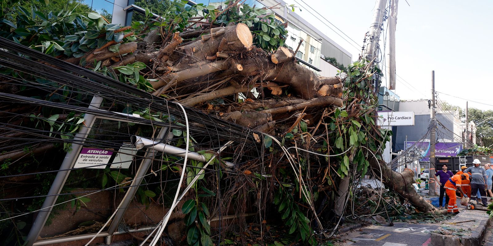 Ventania em RJ, SP e RS expõe falhas na resposta a extremos climáticos
