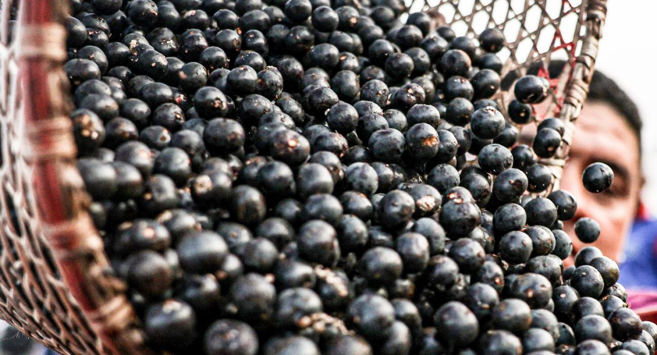 China facilita exportação de polpas e frutas congeladas brasileiras