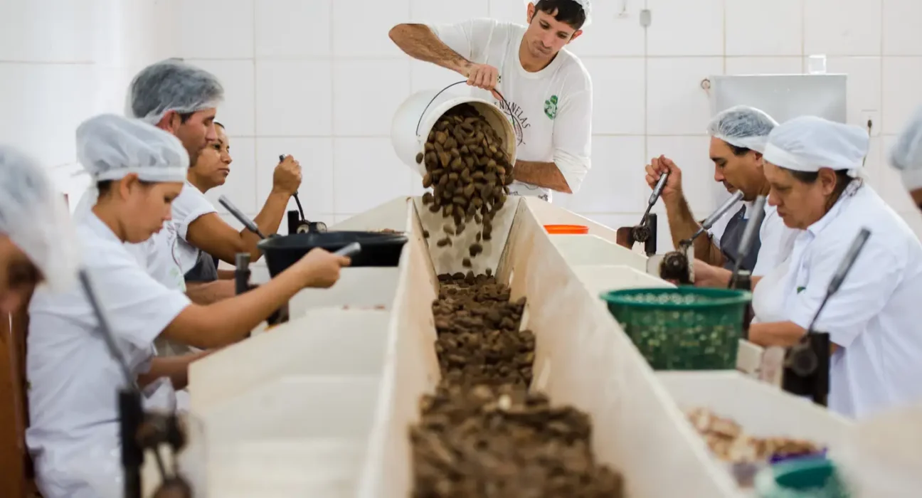 Consulta sobre bens sustentáveis no acordo Mercosul–UE acaba na quarta