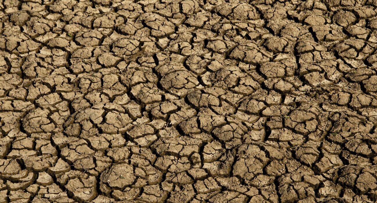 Risco de desertificação no Brasil ameaça segurança hídrica e alimentar