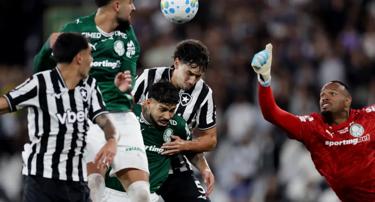 Botafogo segura Palmeiras e ajuda Flamengo, novo líder do Brasileirão