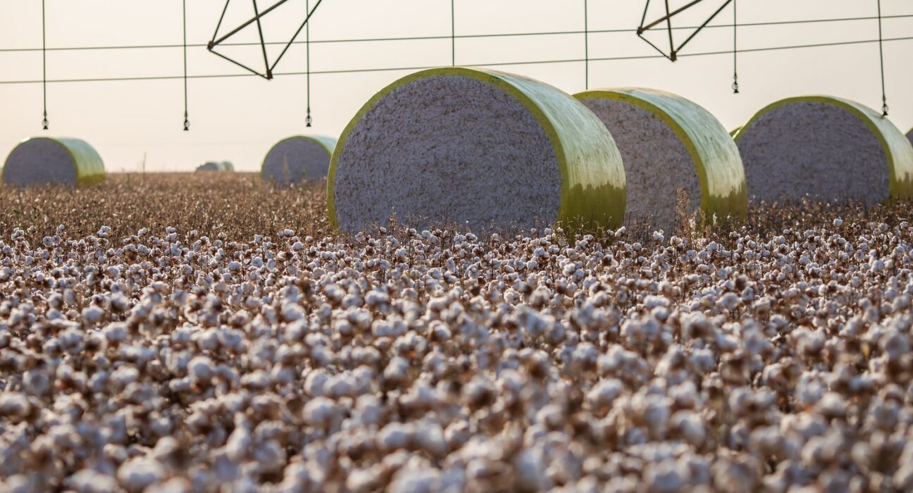 Entenda mudança no mapa que tirou Sorriso do topo da produção agrícola