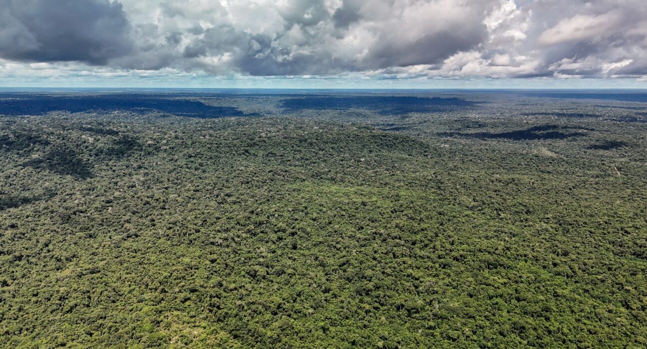 Fazenda autoriza crédito de US$ 1 bilhão do BID para Eco Invest Brasil