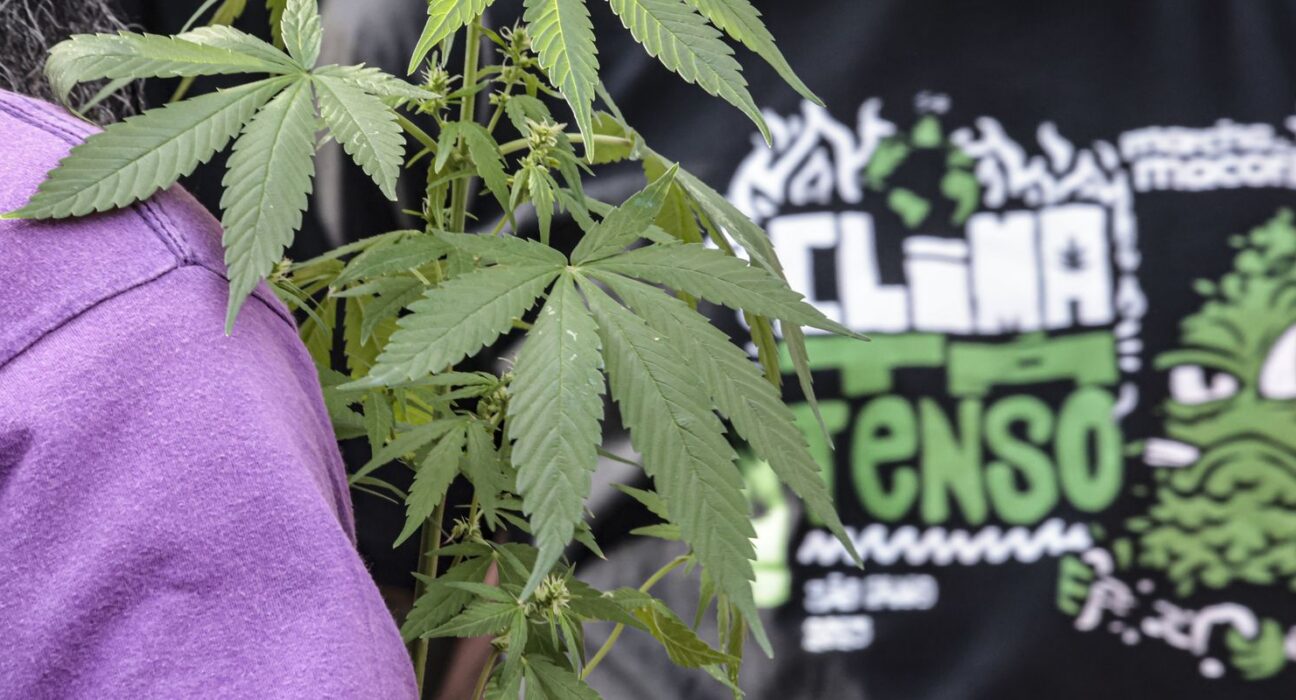 Flagrante por drogas gera mais prisão preventiva do que outros crimes