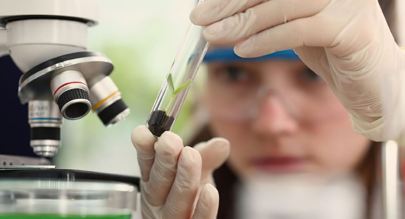 Prêmio para mulheres e meninas cientistas abre inscrições até outubro