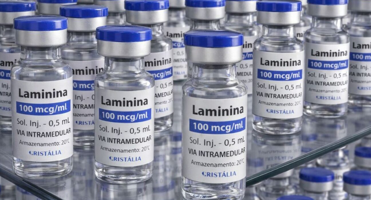 Testes clínicos fase 1 da polilaminina começam este mês