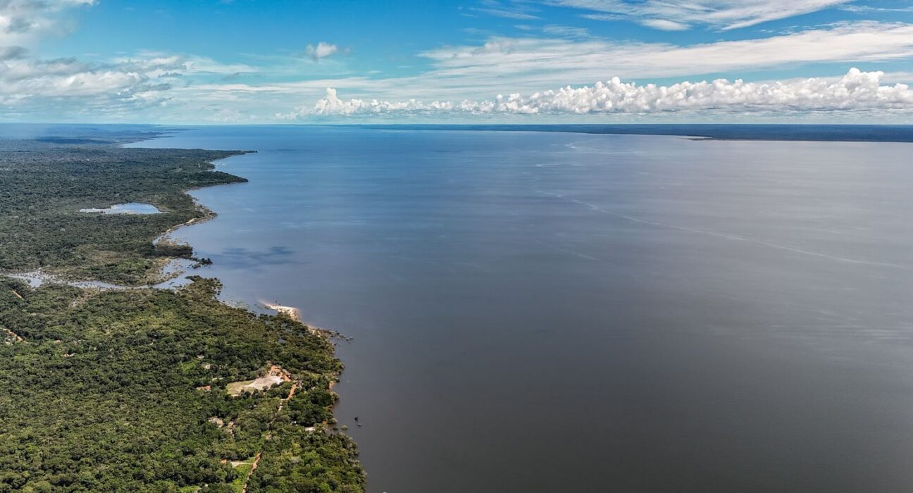 Veja os planos de governo de Flávio e Lula para meio ambiente e clima