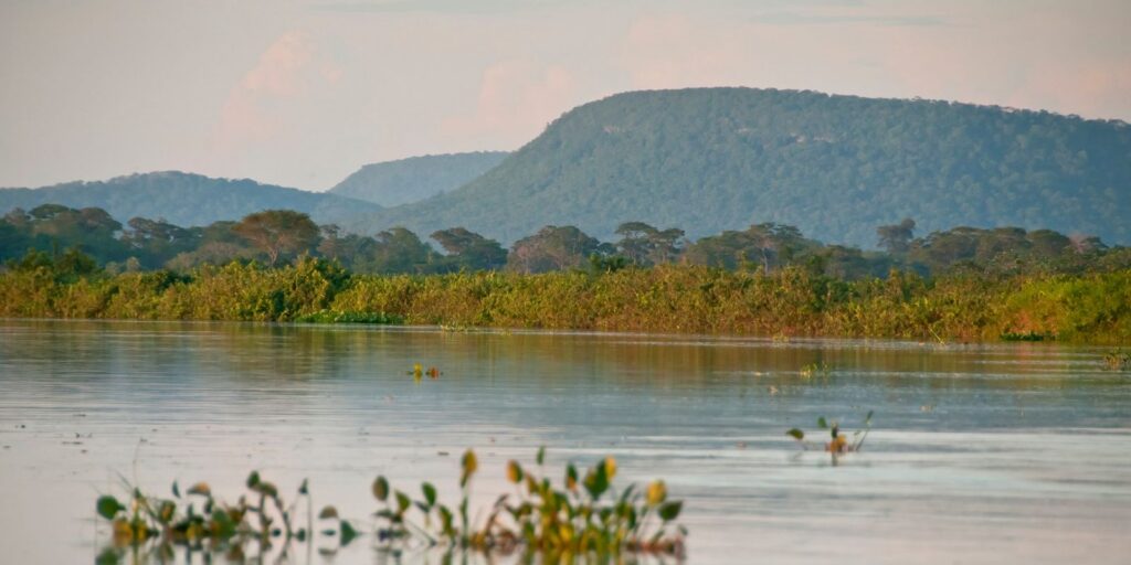Cerrado brasileiro perdeu 13,9 milhões de hectares de margens de rios