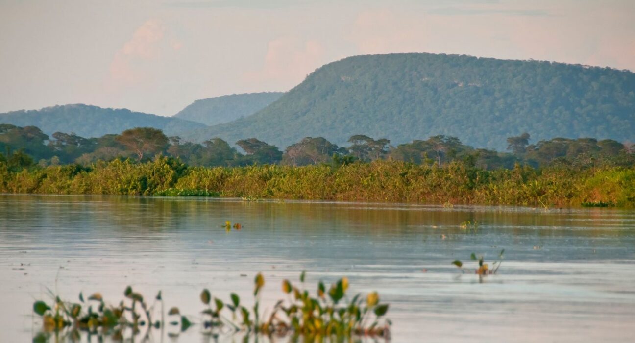 Cerrado brasileiro perdeu 13,9 milhões de hectares de margens de rios