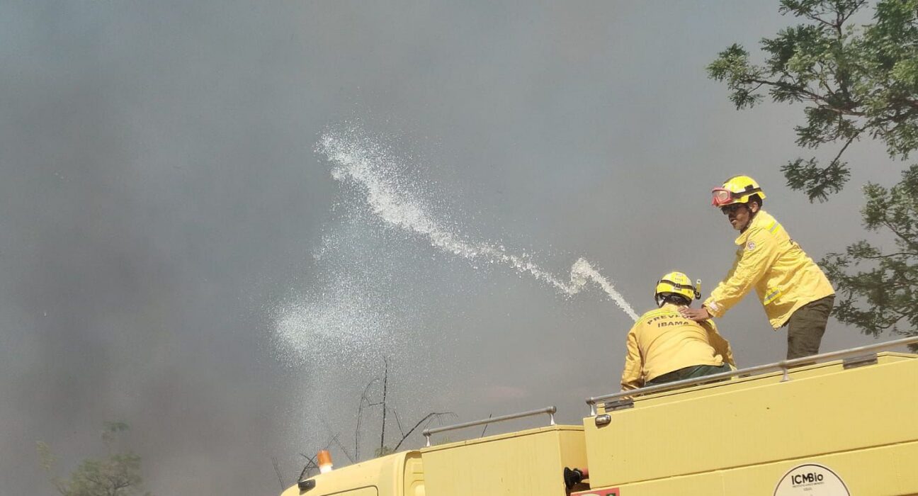Bombeiros controlam incêndio em área de mata na UnB